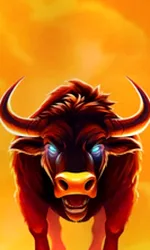 Big Wild Buffalo 2